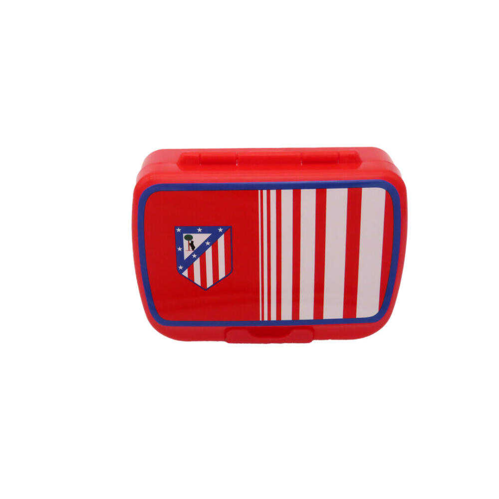 ATLETICO MADRID  picture