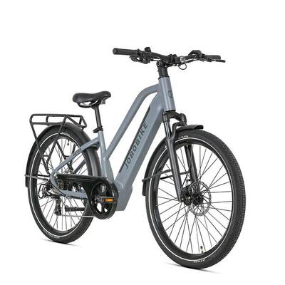 Bici elettrica per adulti JOBOBIKE Astra 250W 36V15AH Batteria