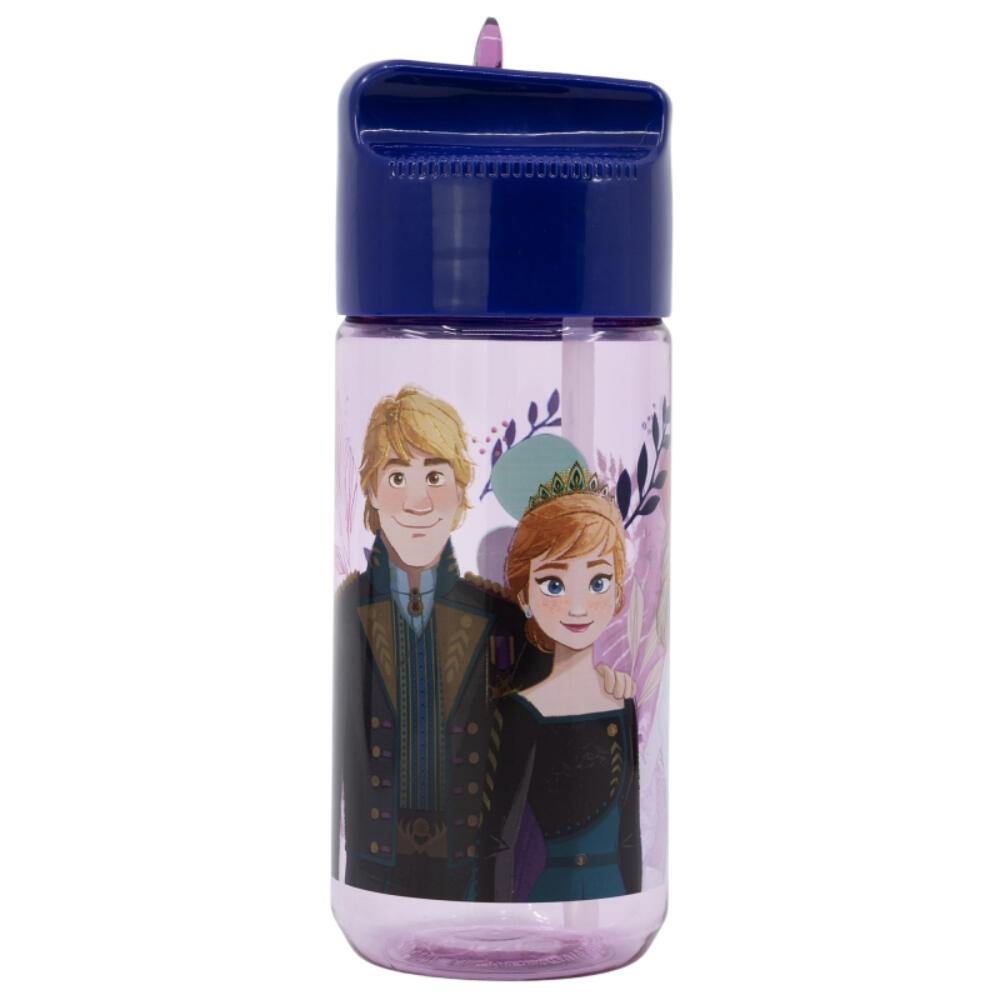 Botella De Plástico Tritan Hidro Frozen Trust The Journey 430 ML 2/3