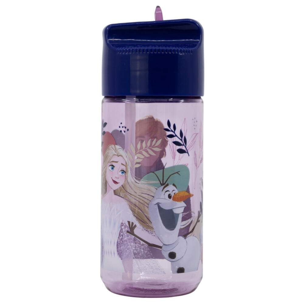 DISNEY FROZEN picture