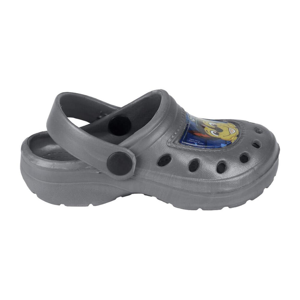 PAW PATROL picture