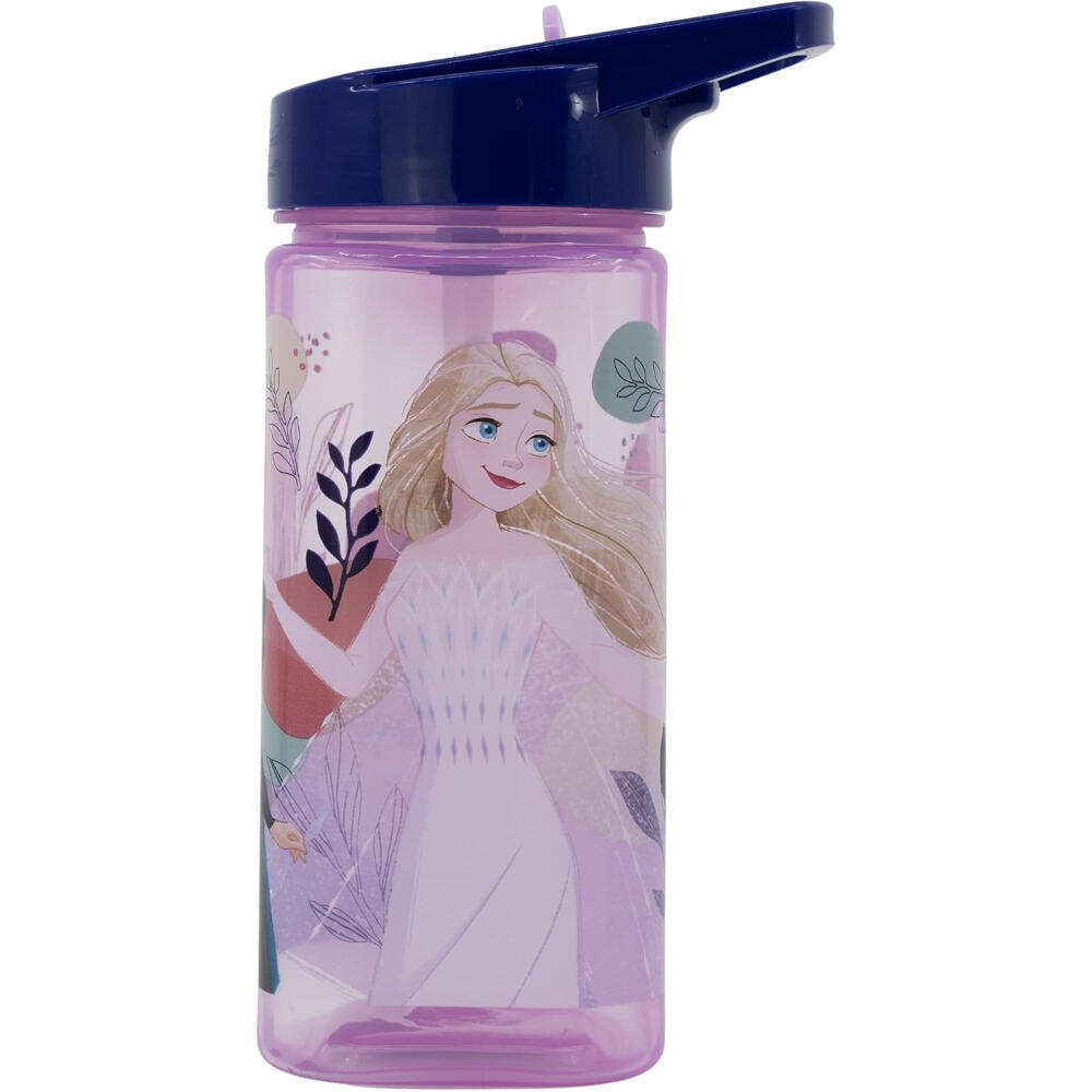 DISNEY FROZEN picture