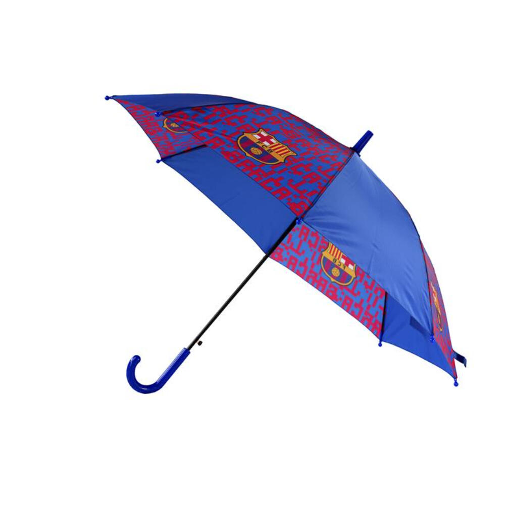 FC BARCELONA picture