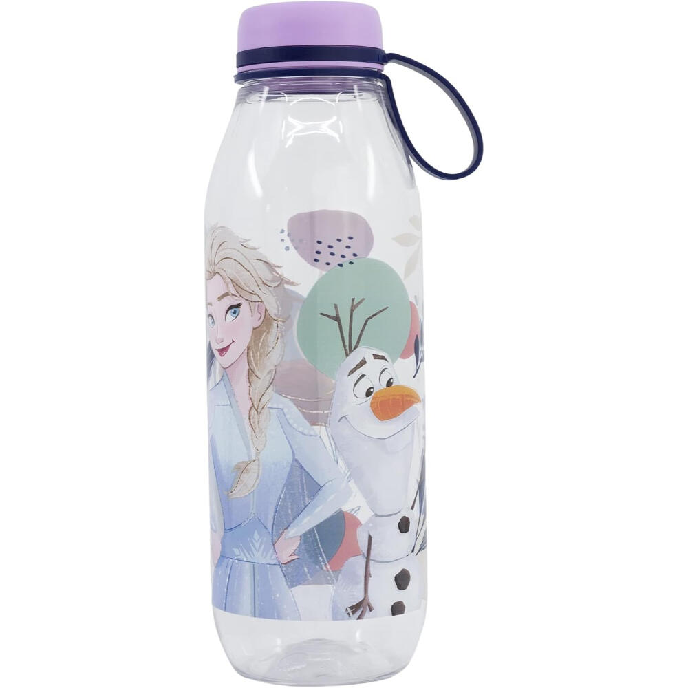 DISNEY FROZEN picture