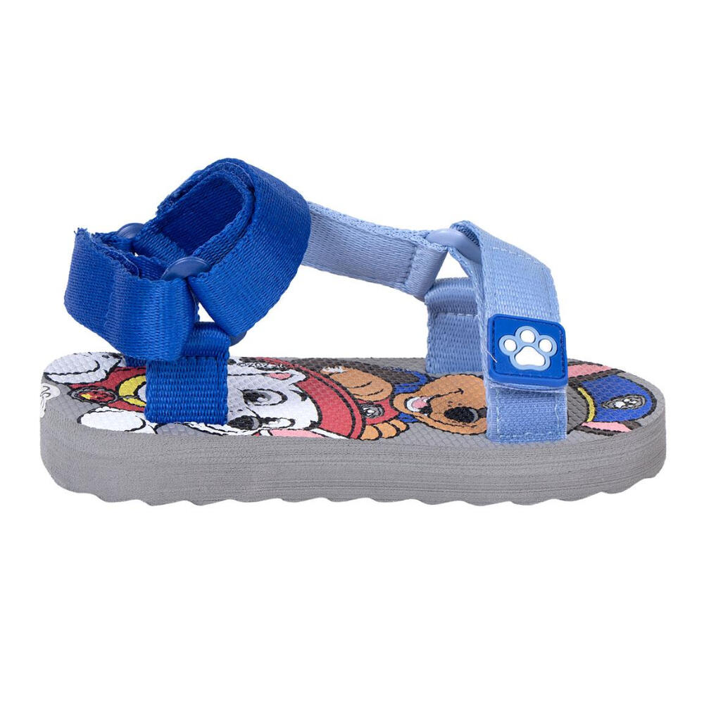 PAW PATROL picture