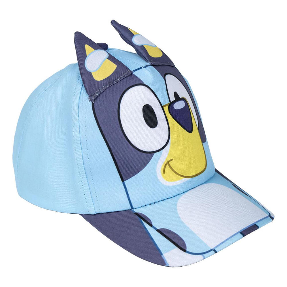 BLUEY picture