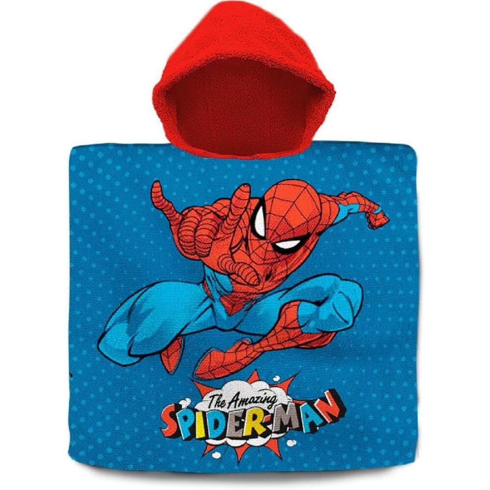 SPIDERMAN picture