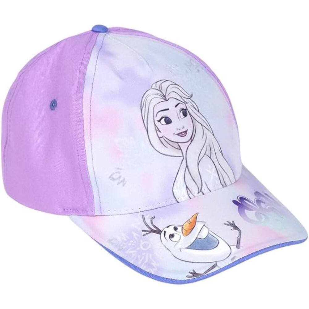 DISNEY FROZEN picture