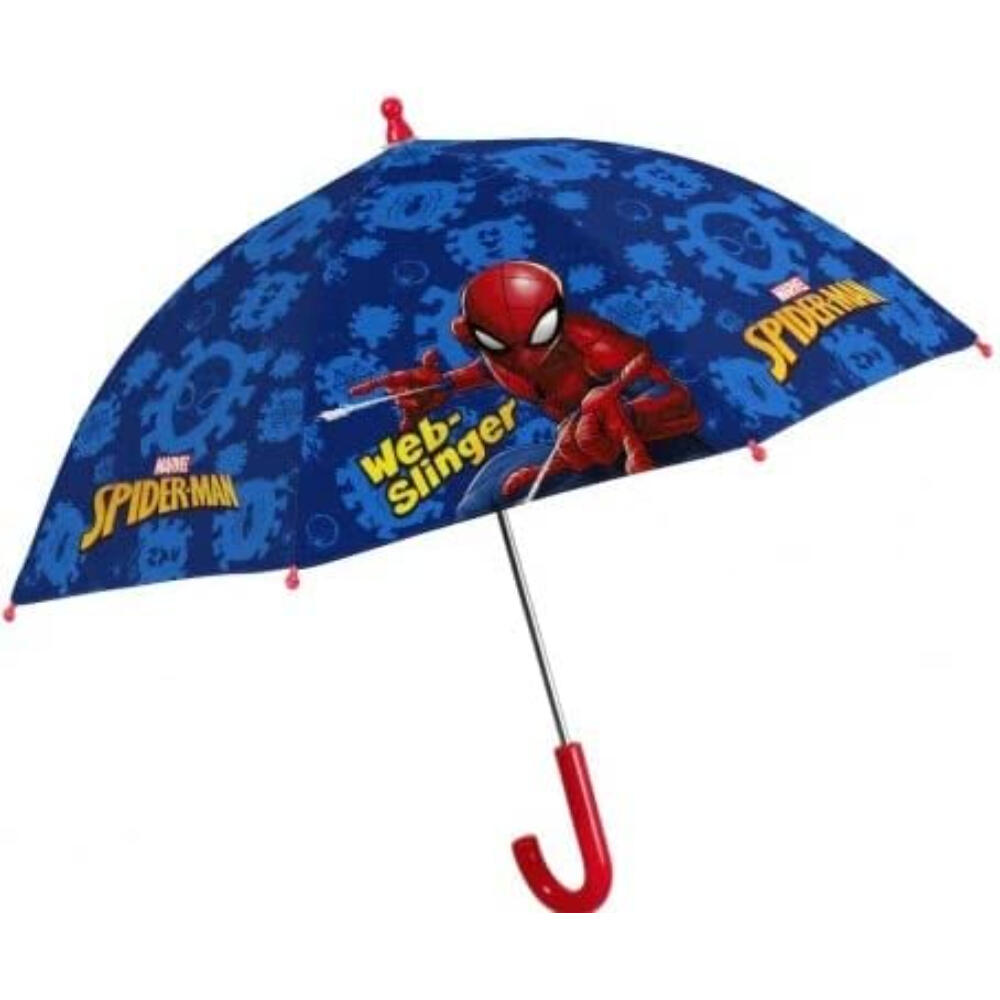 SPIDERMAN picture