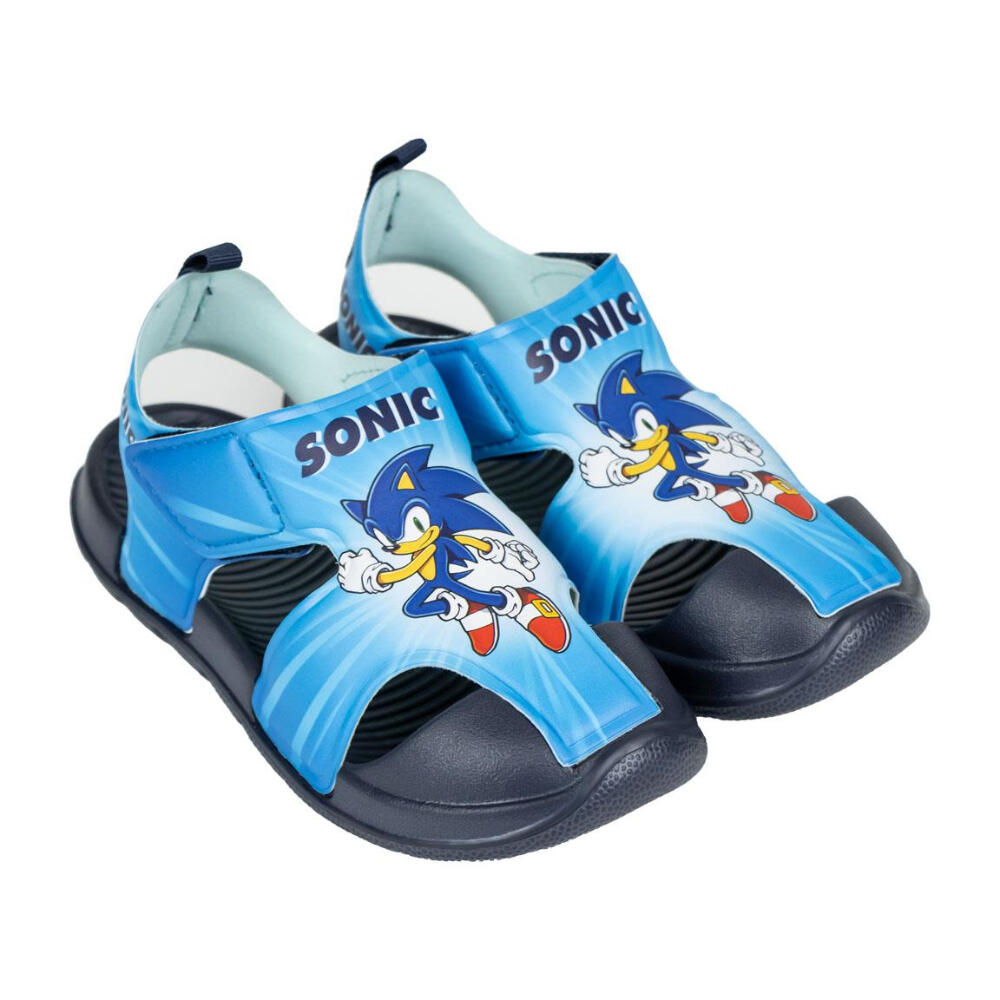 SONIC THE HEDGEHOG picture