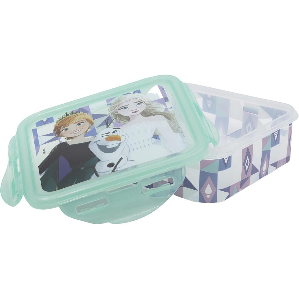 DISNEY FROZEN picture