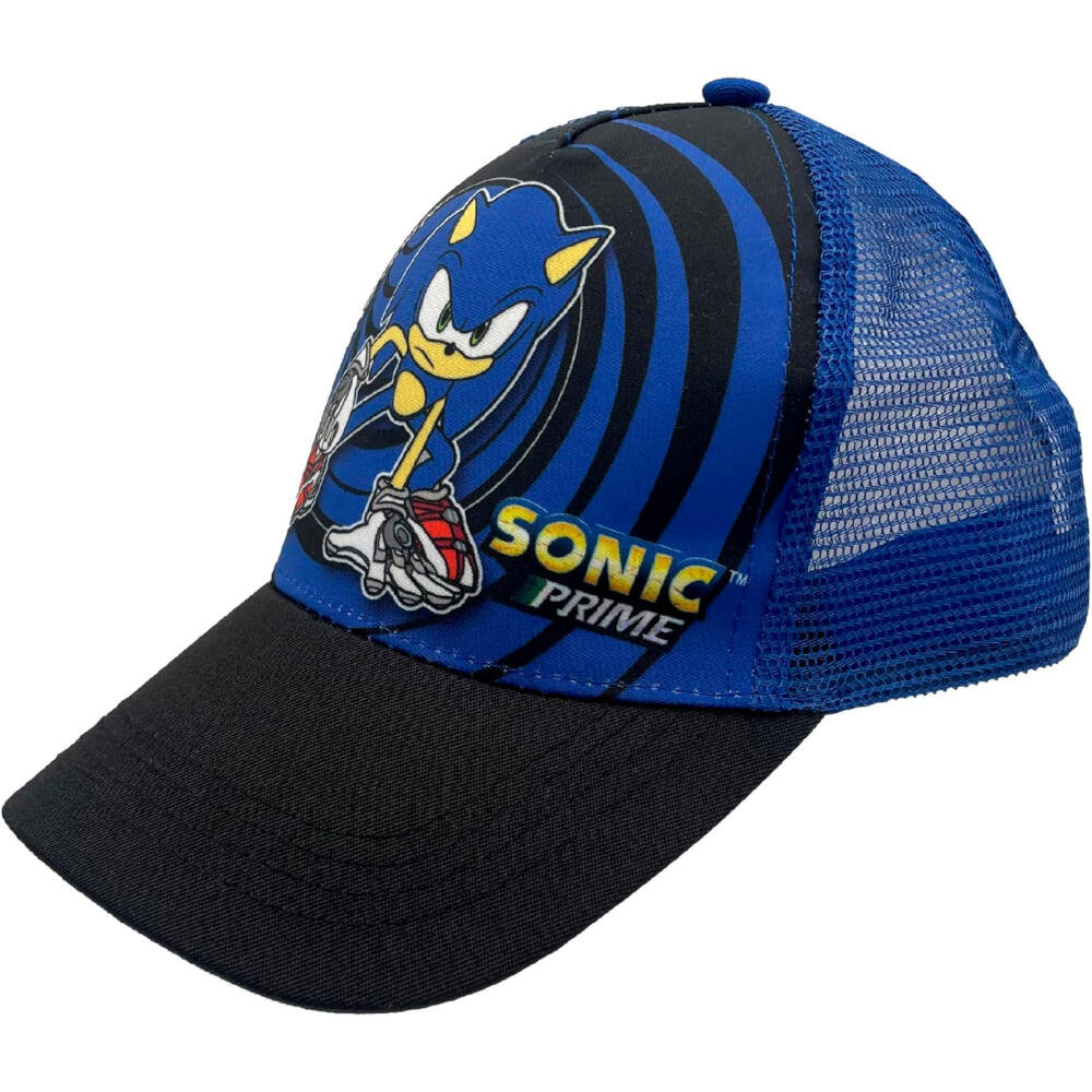 SONIC THE HEDGEHOG picture