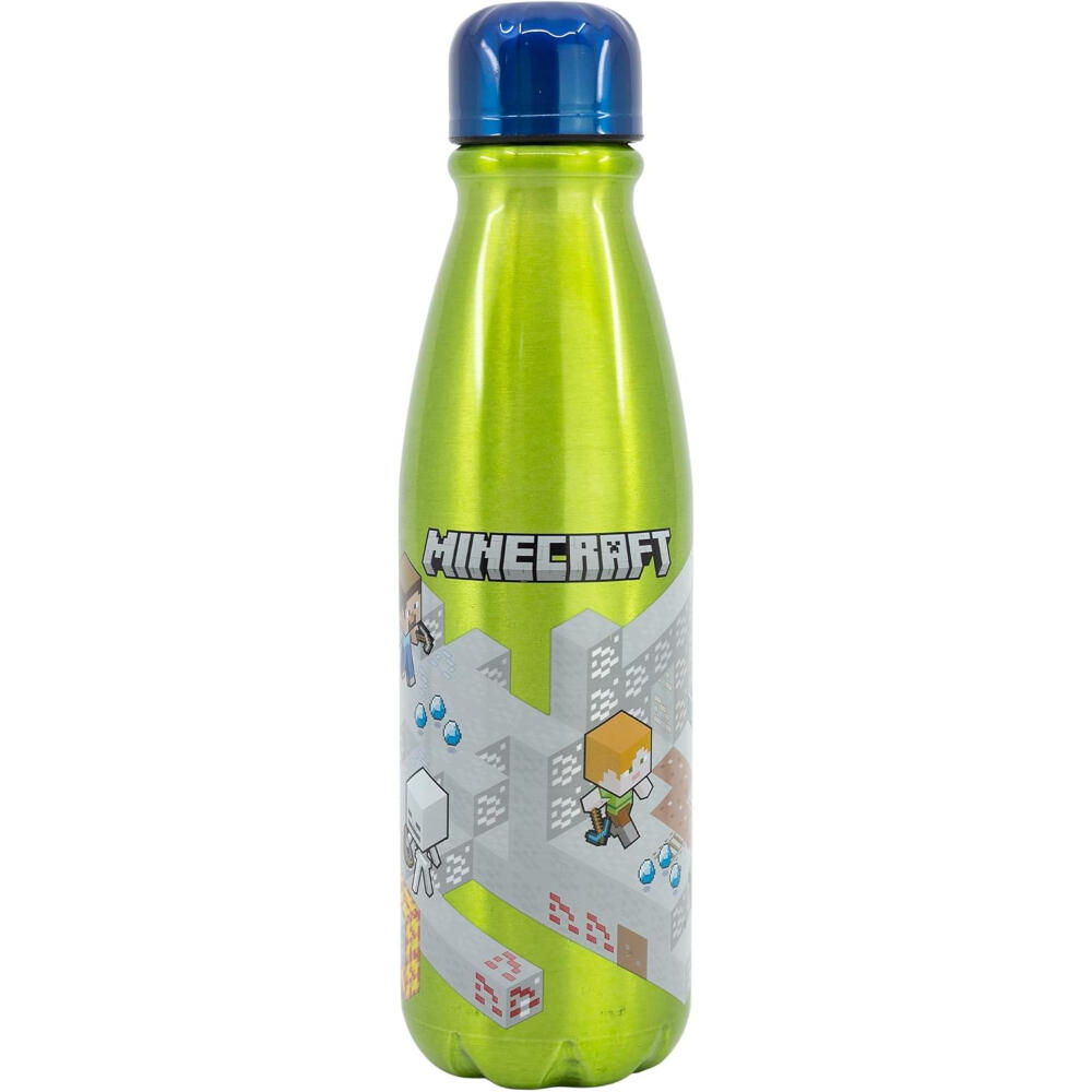 MINECRAFT picture