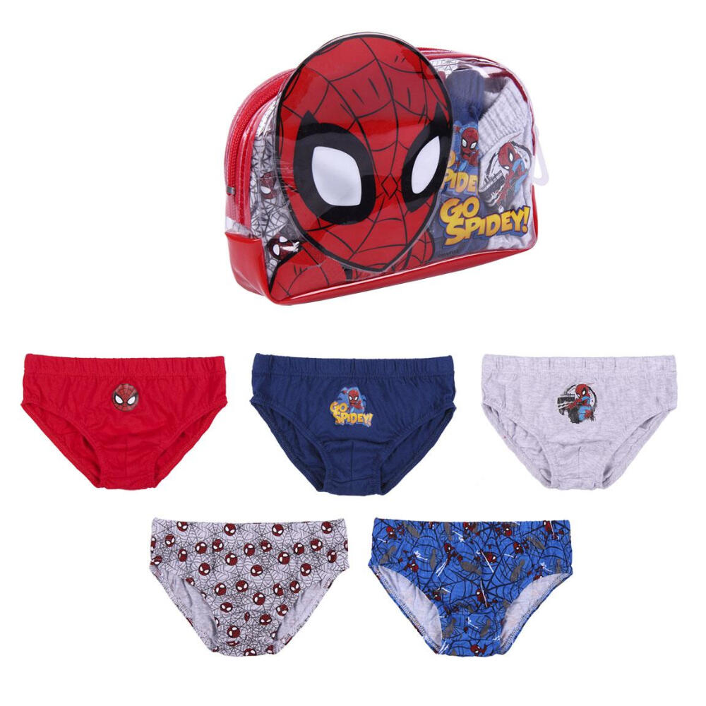 SPIDERMAN picture