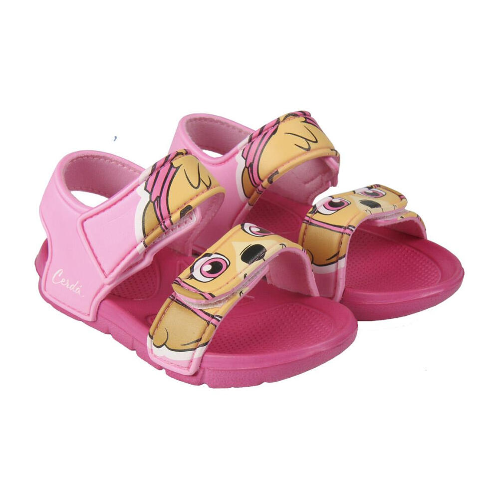PAW PATROL picture