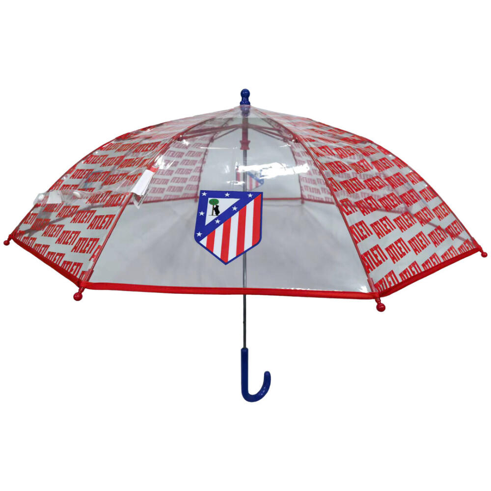 ATLETICO MADRID  picture