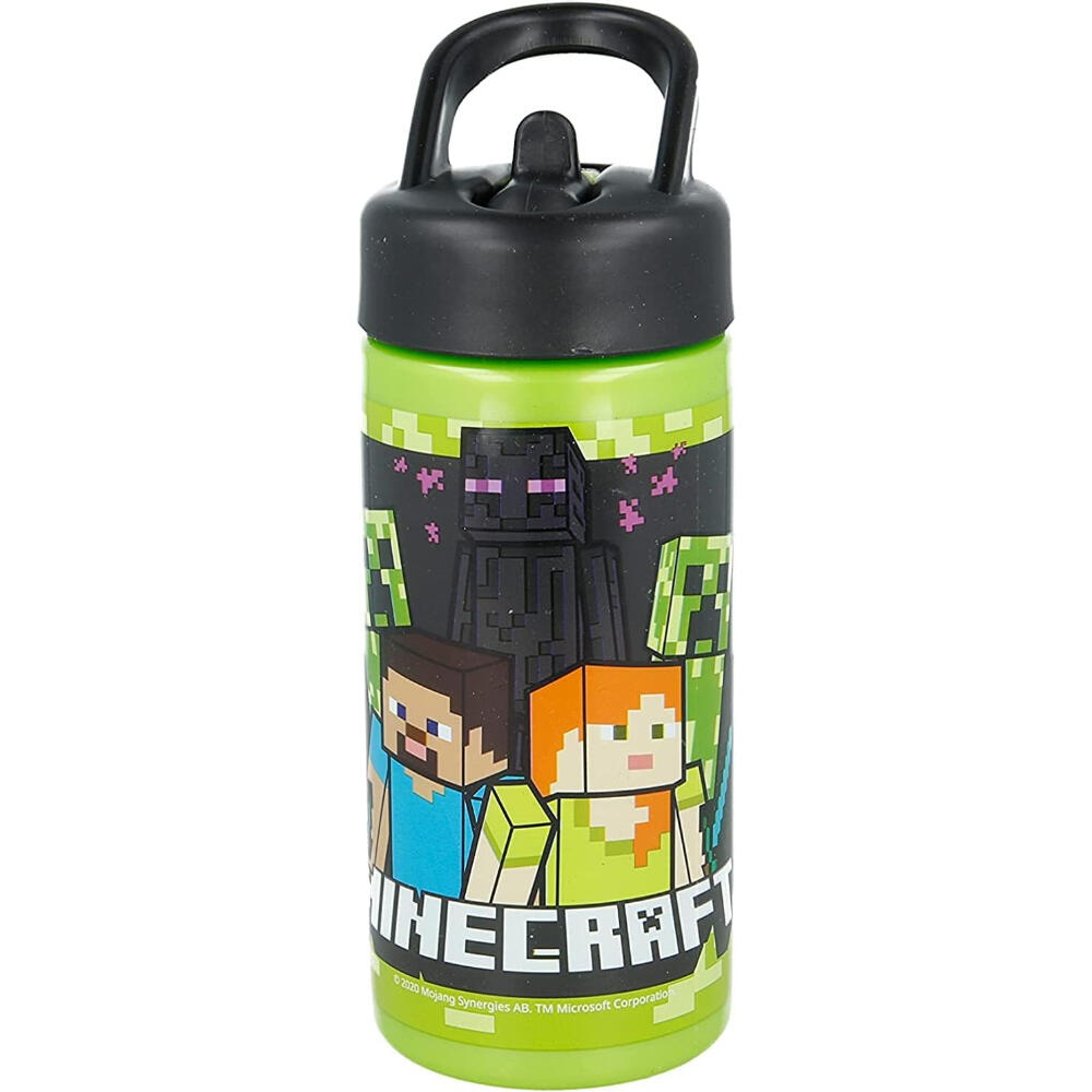 MINECRAFT picture