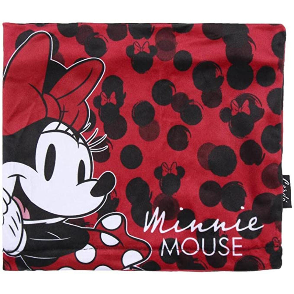 MINI MOUSE picture