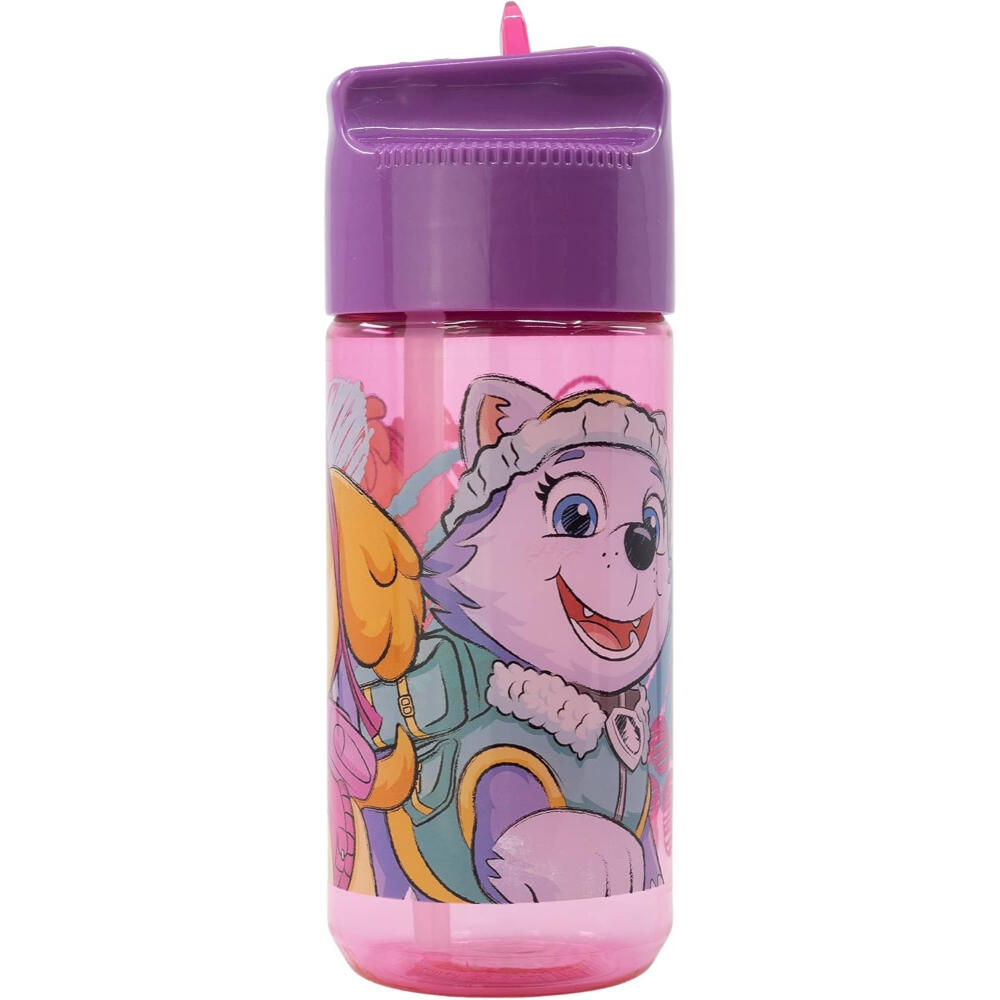 PAW PATROL picture