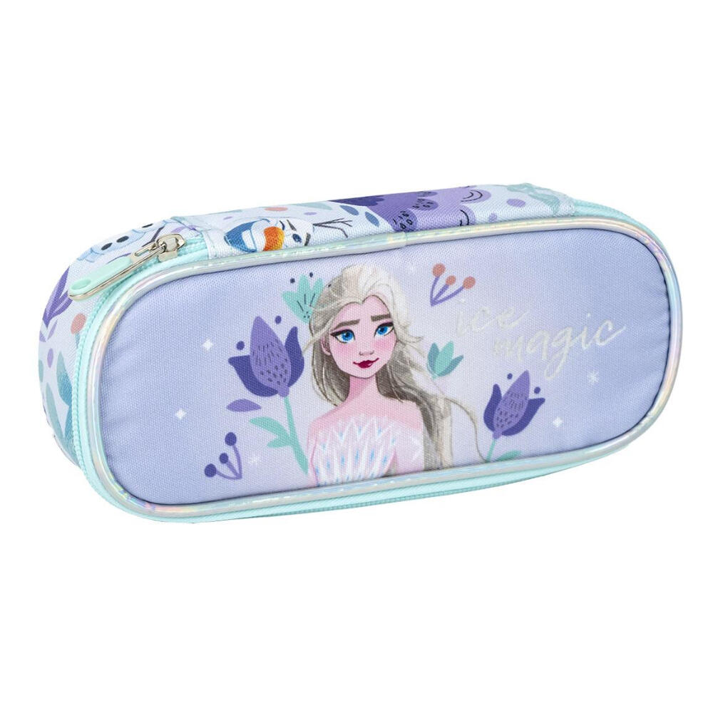 DISNEY FROZEN picture