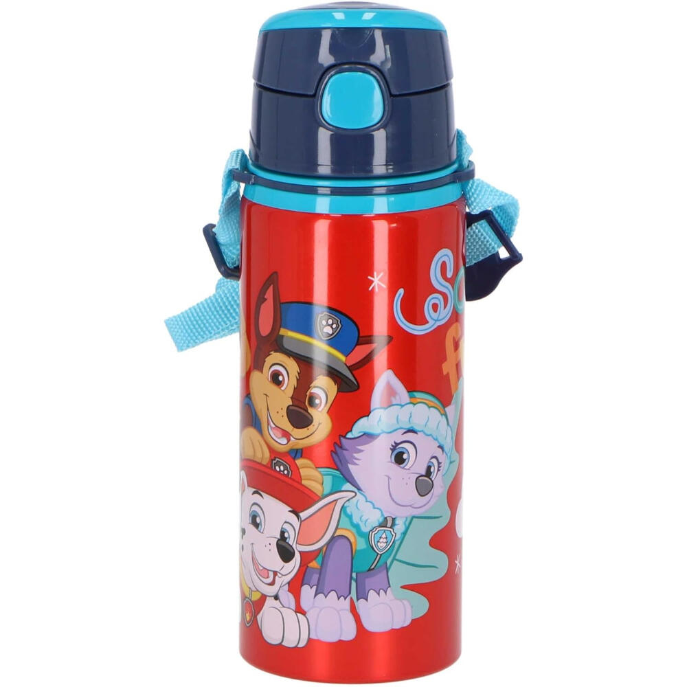 Botella Cantimplora de Aluminio Patrulla Canina So Fun 600 ML 3/3
