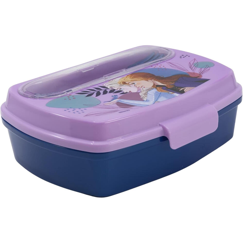 DISNEY FROZEN picture