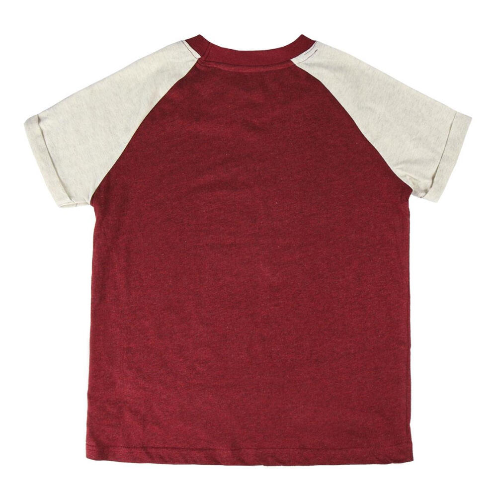 Camiseta - Niño - Manga corta, Estampado Harry Potter - Burdeos 2/3