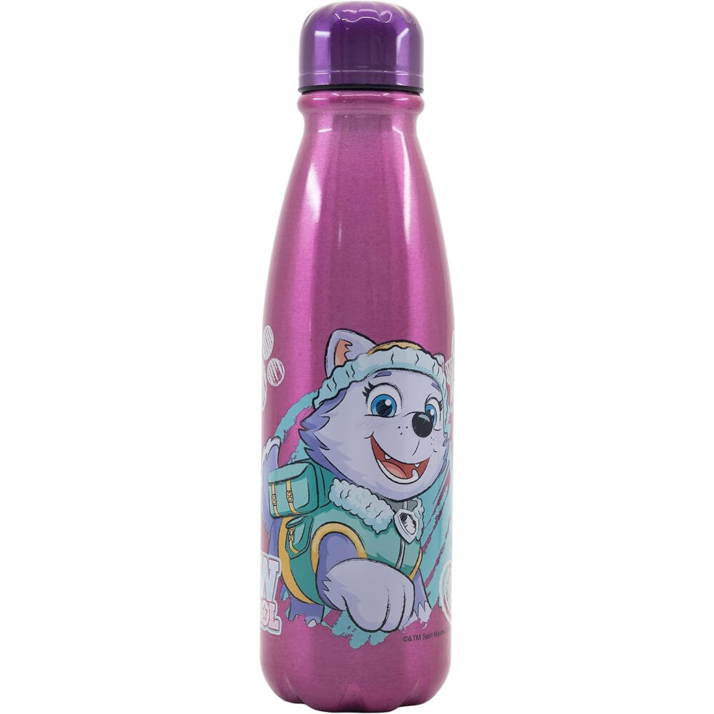 Botella De Aluminio Patrulla Canina Girl Sketch Essence 600 ML 2/3