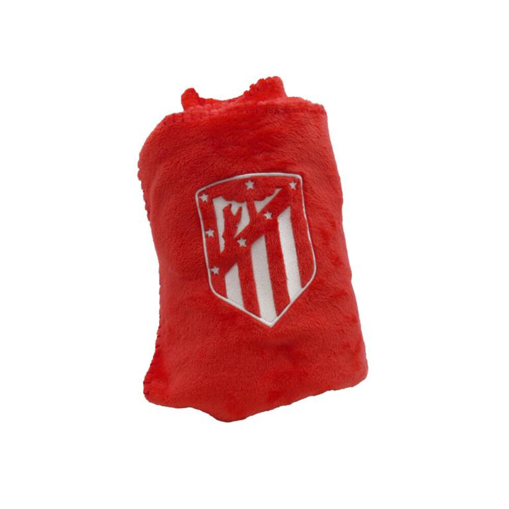 ATLETICO MADRID  picture