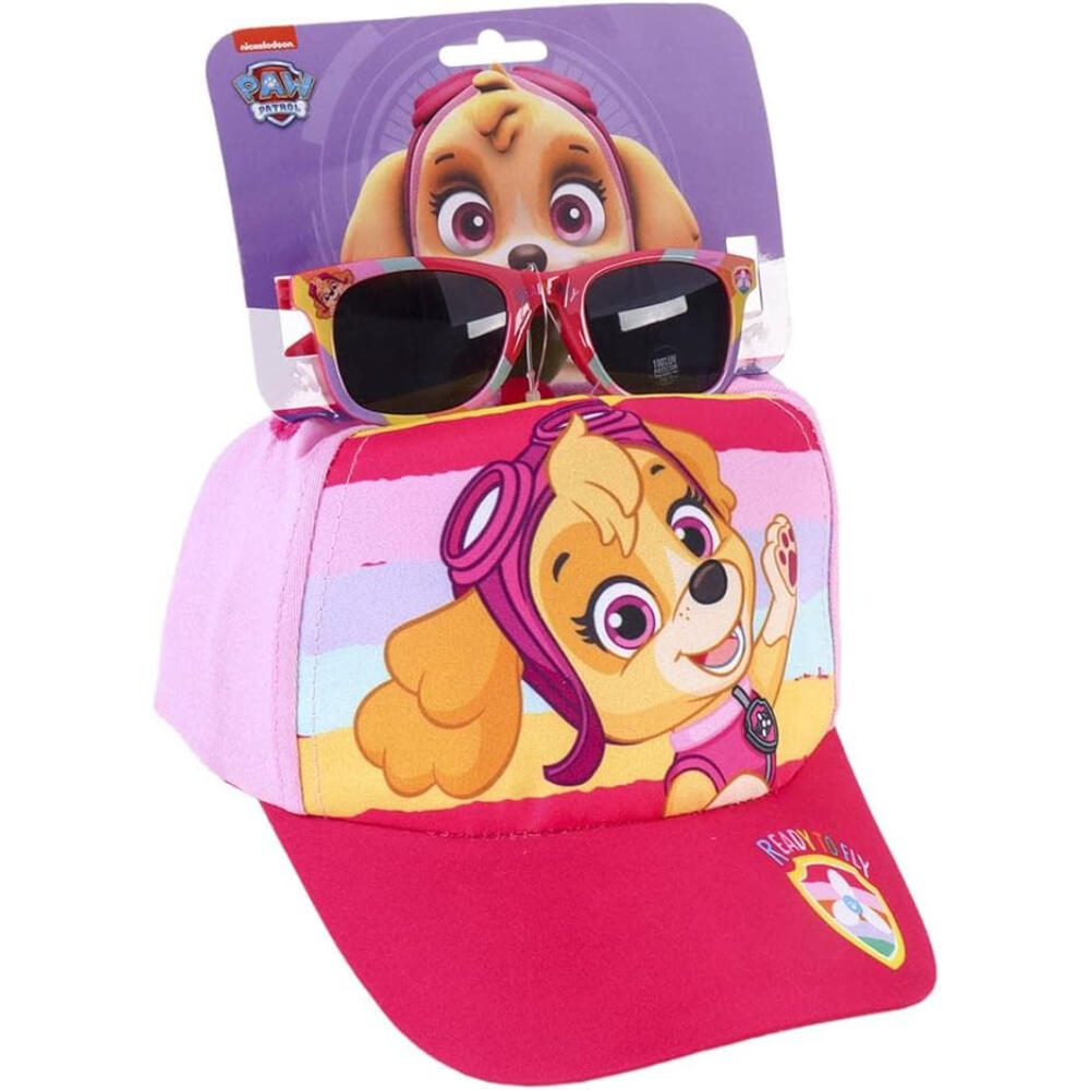 PAW PATROL picture
