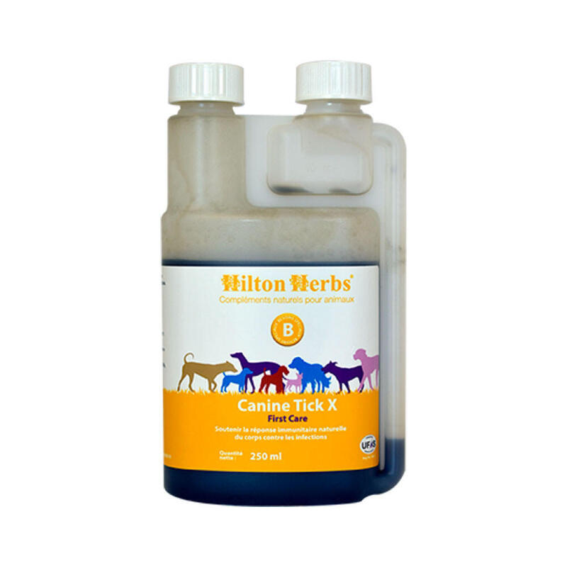 Immunité infections tique chien Tick X First Care Hilton Herbs 250mL