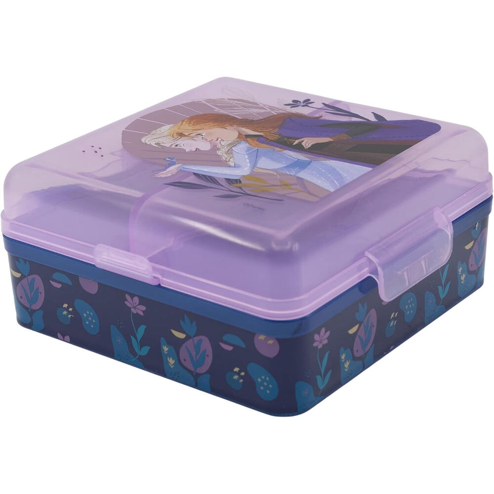 DISNEY FROZEN picture