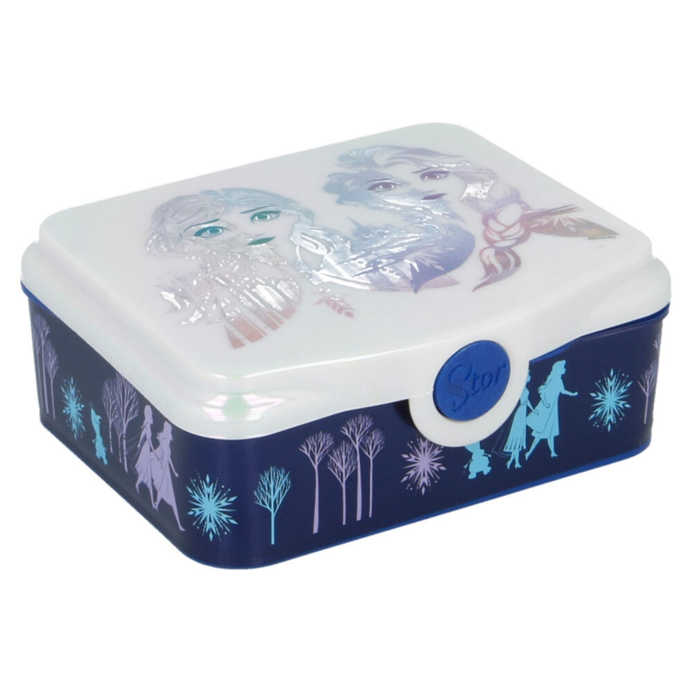 DISNEY FROZEN picture