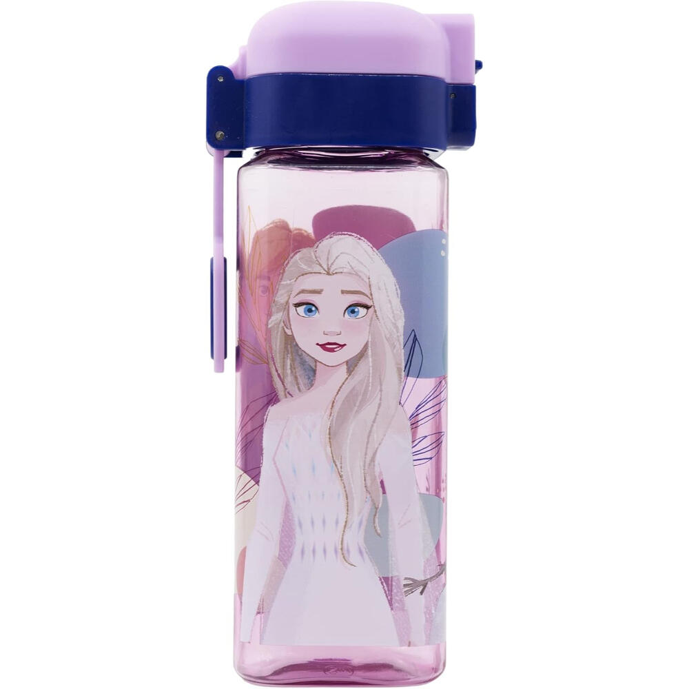 DISNEY FROZEN picture