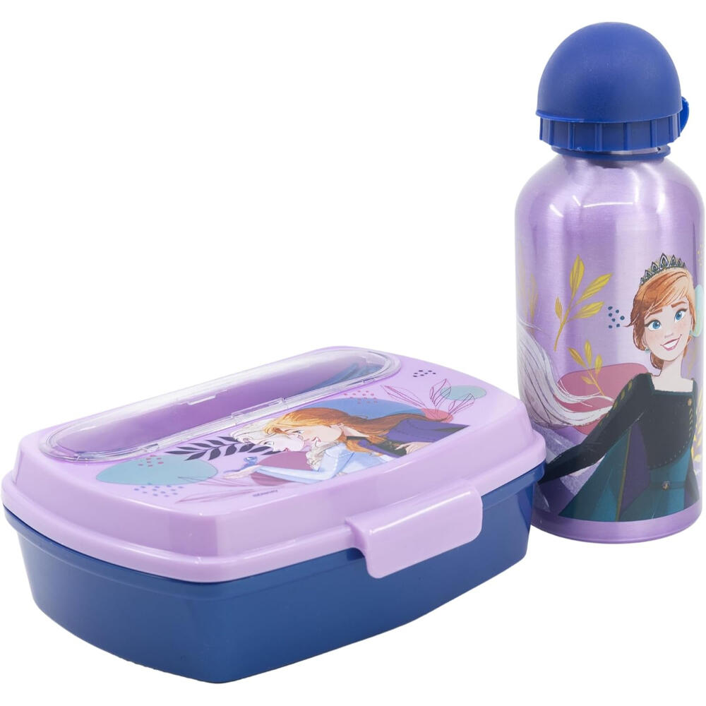 DISNEY FROZEN picture