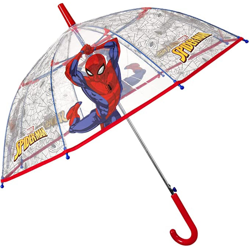 SPIDERMAN picture