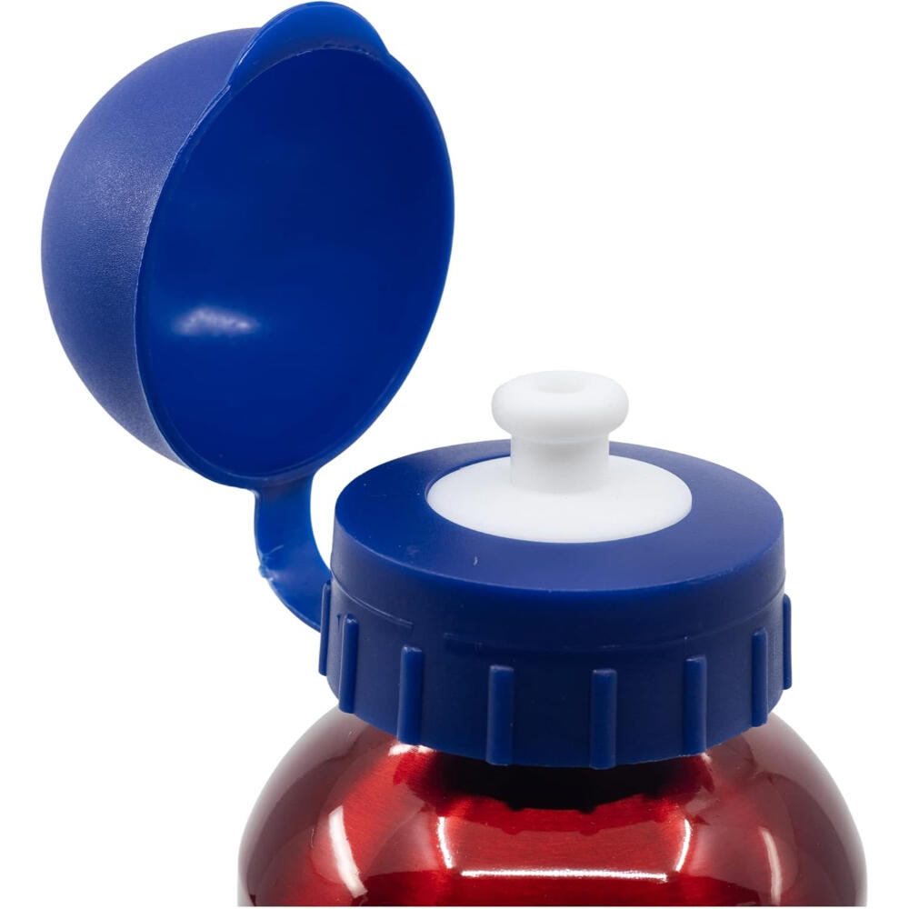 Botella Aluminio Alta 530 ML Avengers Invincible Force 2/3