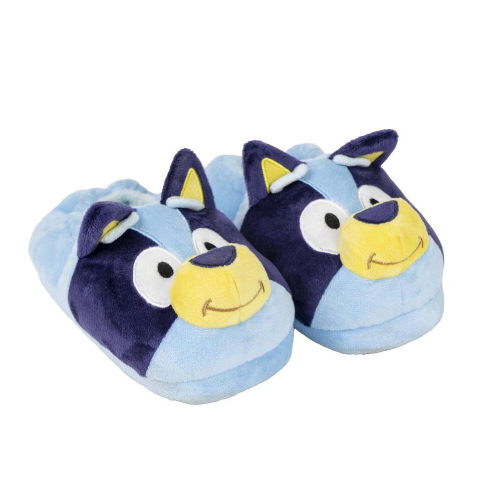 BLUEY picture