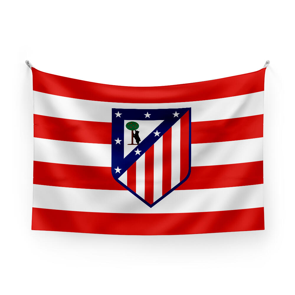 ATLETICO MADRID  picture