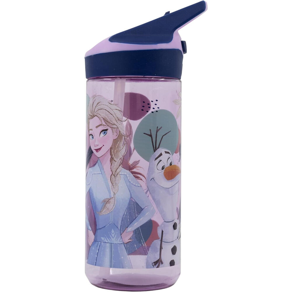 DISNEY FROZEN picture