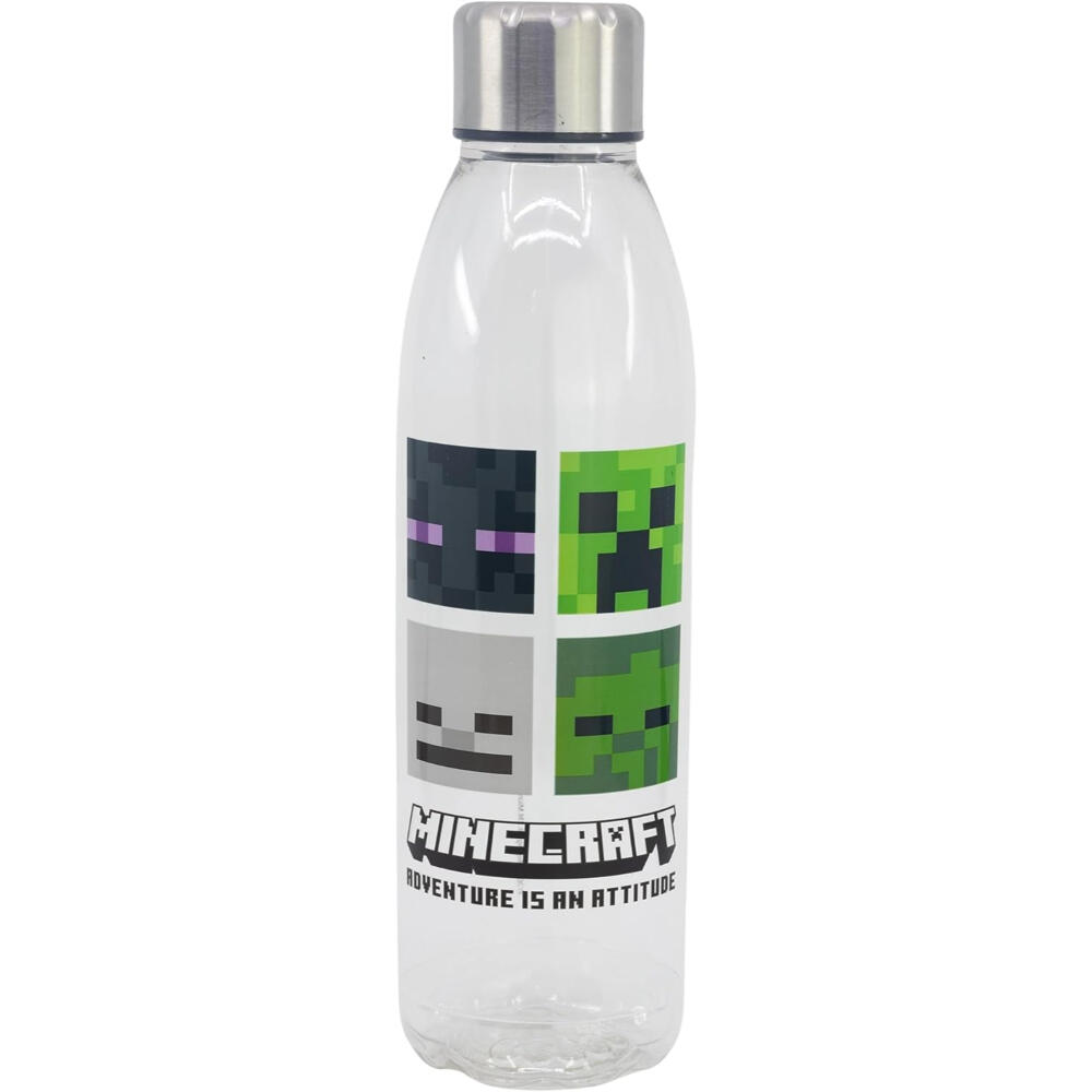 MINECRAFT picture