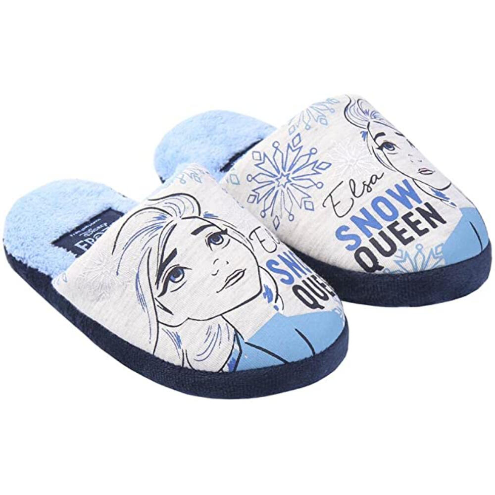 DISNEY FROZEN picture