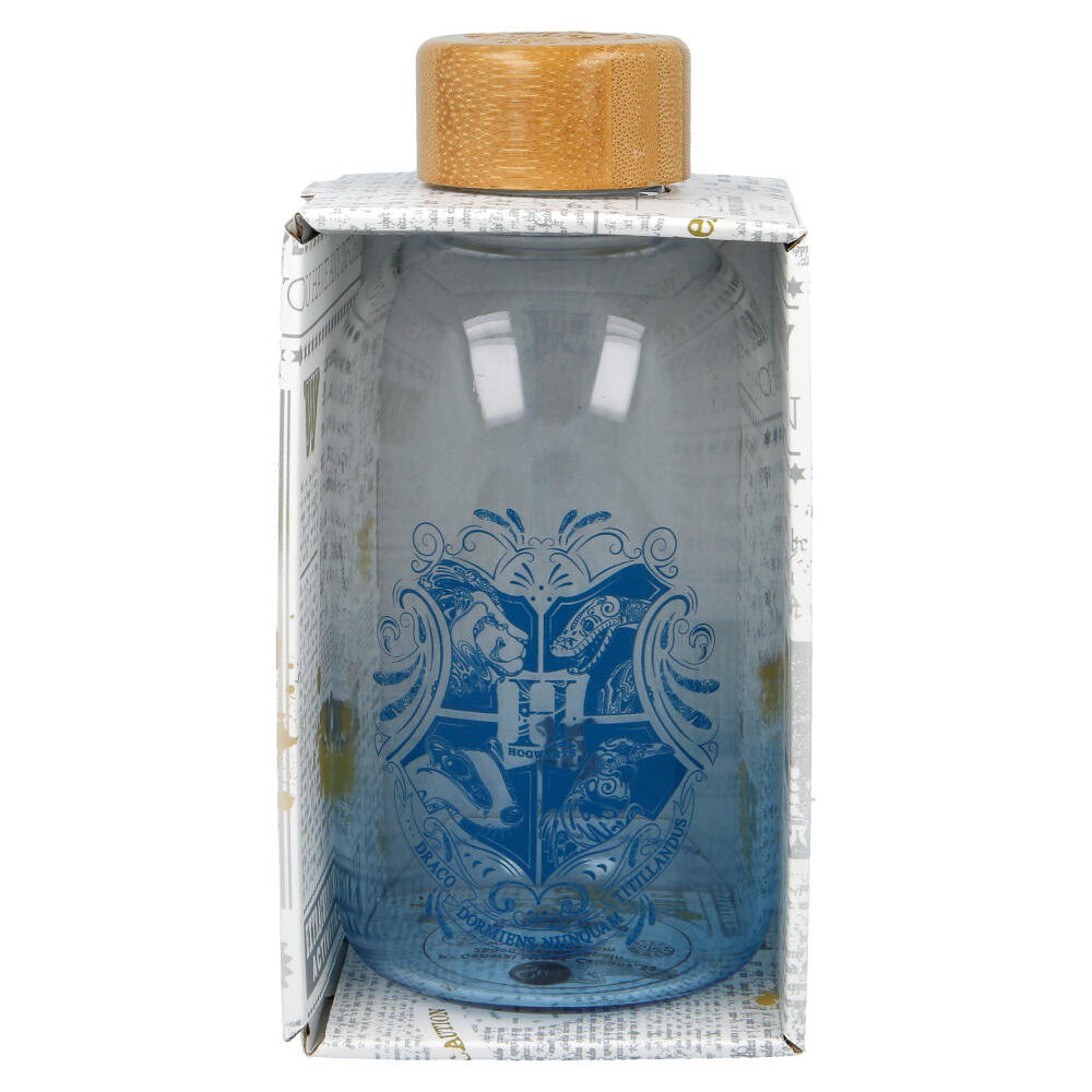 Botella De Cristal Harry Potter 620 ML 1/3