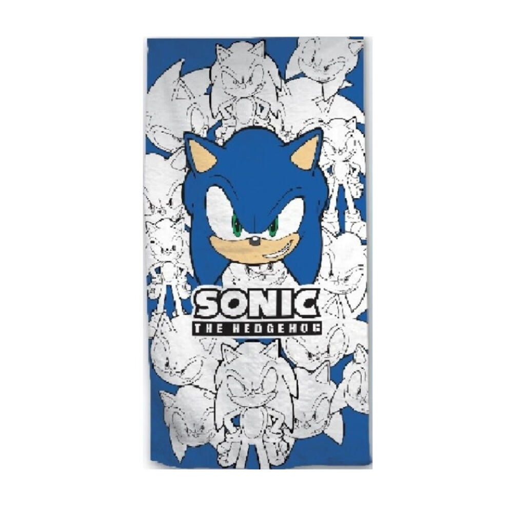 SONIC THE HEDGEHOG picture