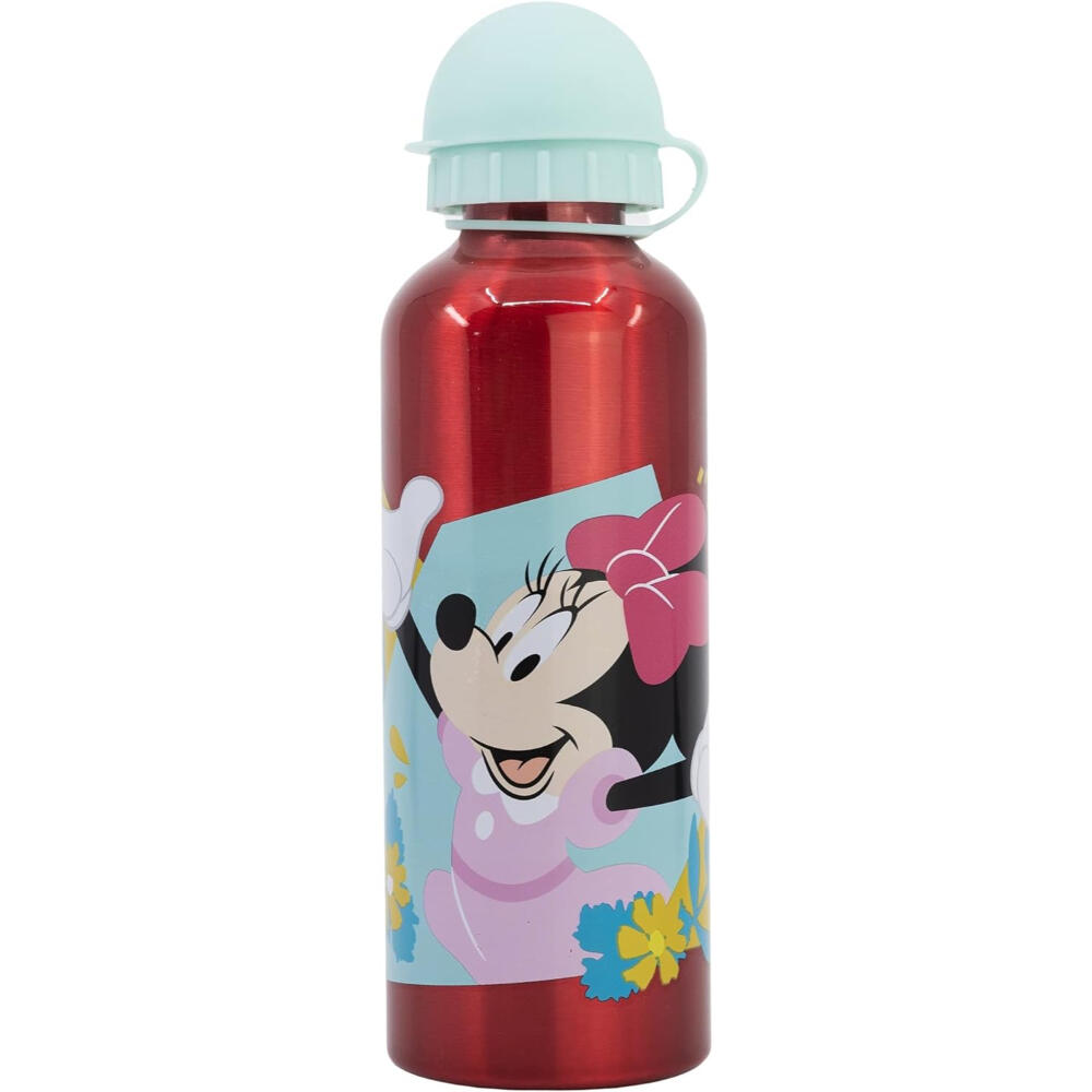 MINI MOUSE picture