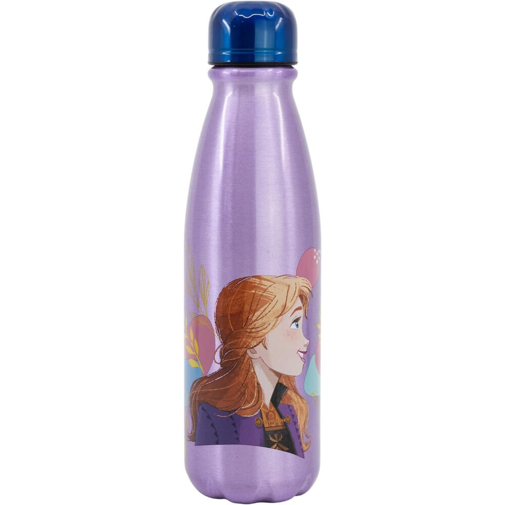 Botella De Aluminio Frozen Trust The Journey 600 ML 2/3