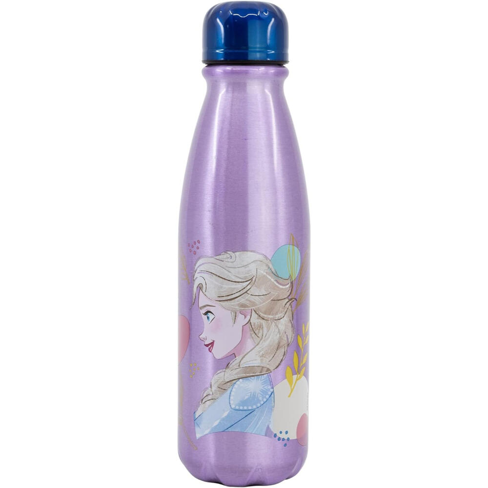DISNEY FROZEN picture