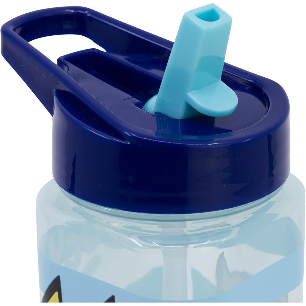 Botella Square 510 ML Bluey Cool Day 2/3