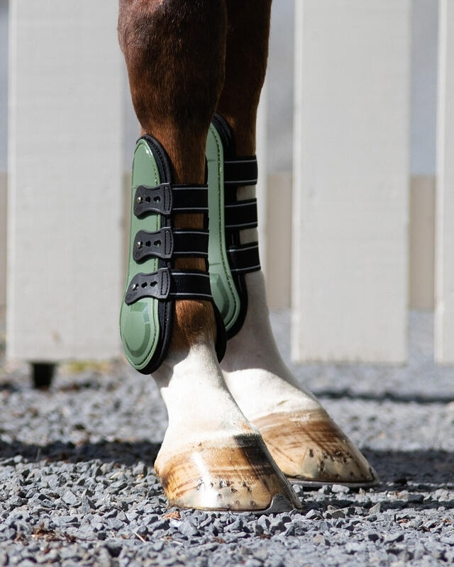 Stivali da cavallo QHP Champion 4/4