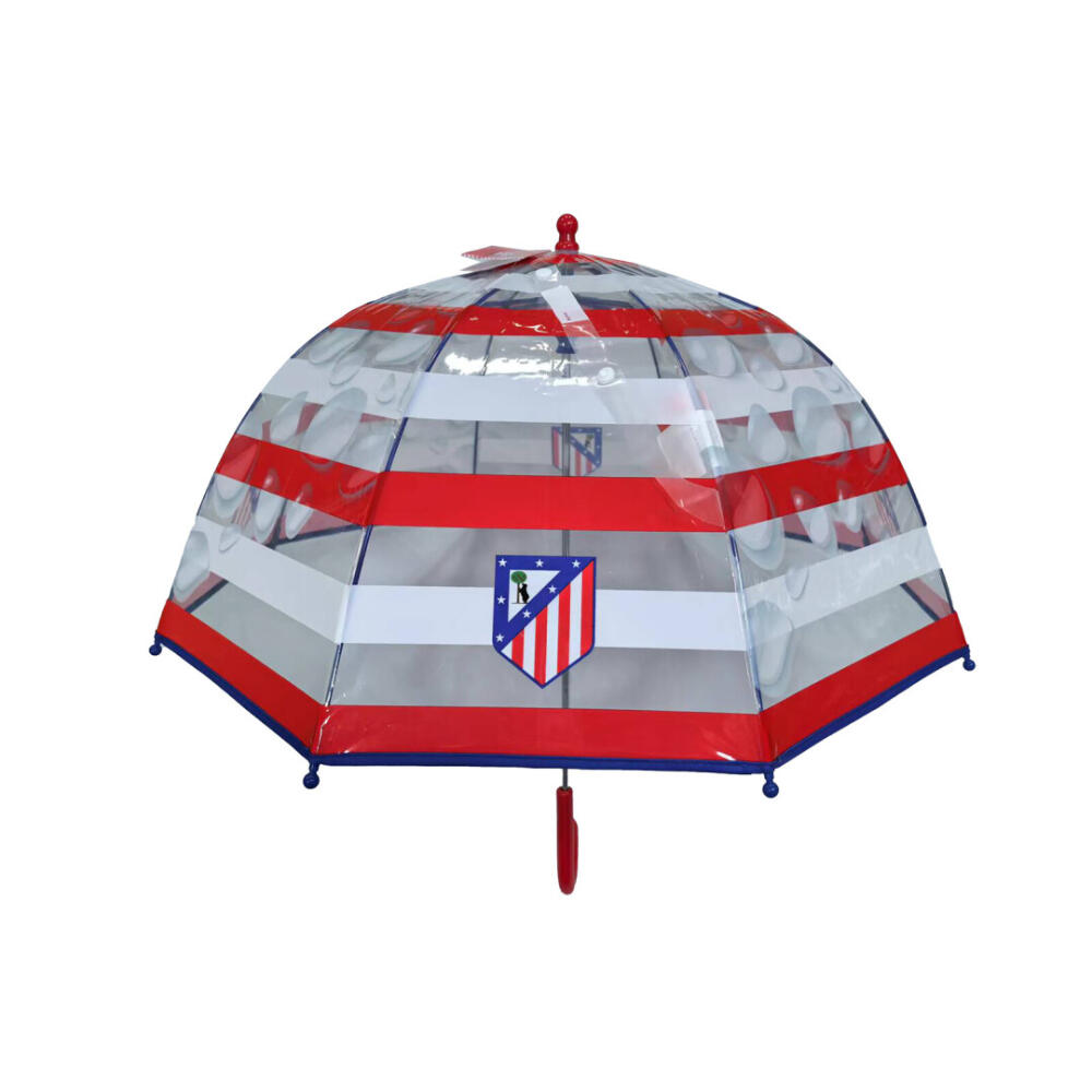ATLETICO MADRID  picture